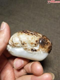 和田玉黑皮巧雕金蟾