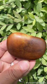 新疆和田玉籽料原石 120g 真皮真色 独籽无修型
